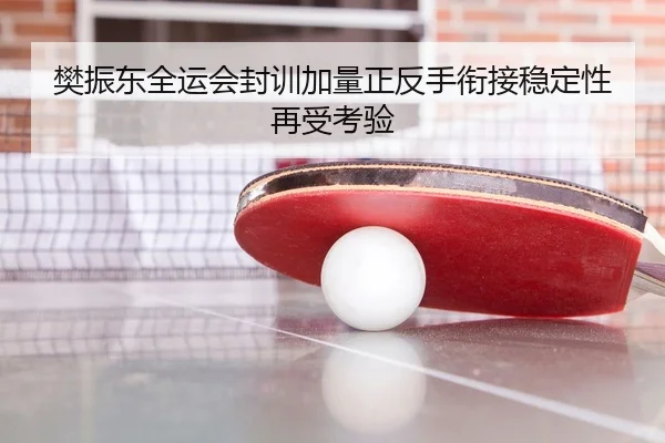 樊振东全运会封训加量正反手衔接稳定性再受考验